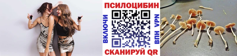 Псилоцибиновые грибы GOLDEN TEACHER  Краснокамск 